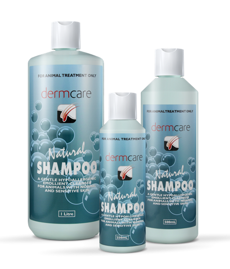 Dermcare Natural Shampoo — Tidbit