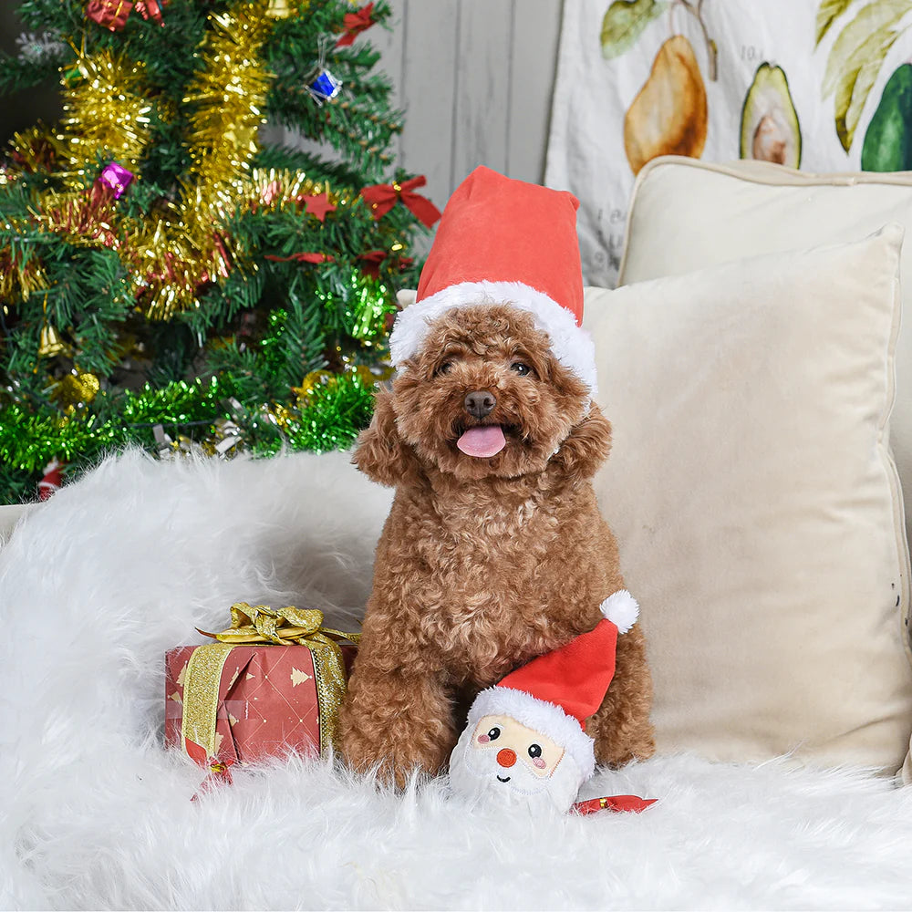 Hugsmart – Happy Woofmas – Super Ball Santa