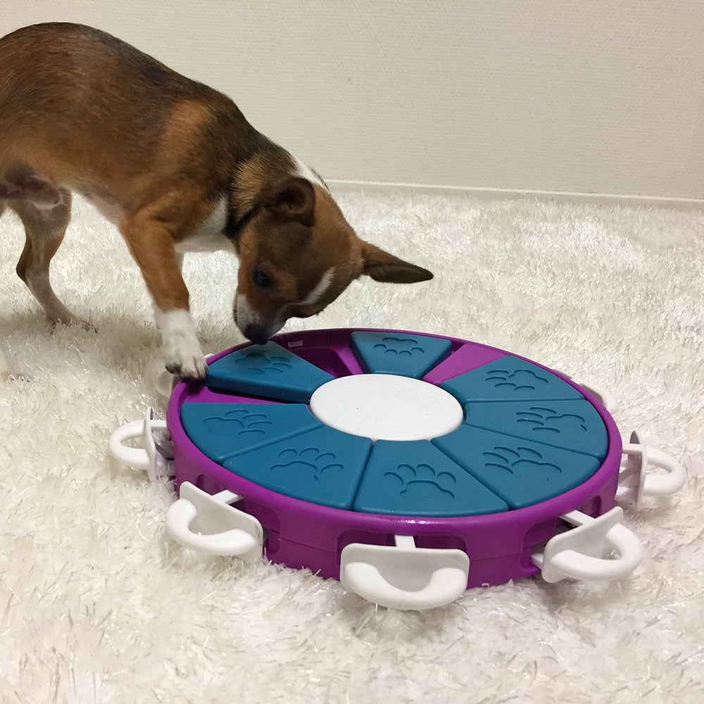 Outward Hound Nina Ottosson Dog Twister Puzzle (Level 3)