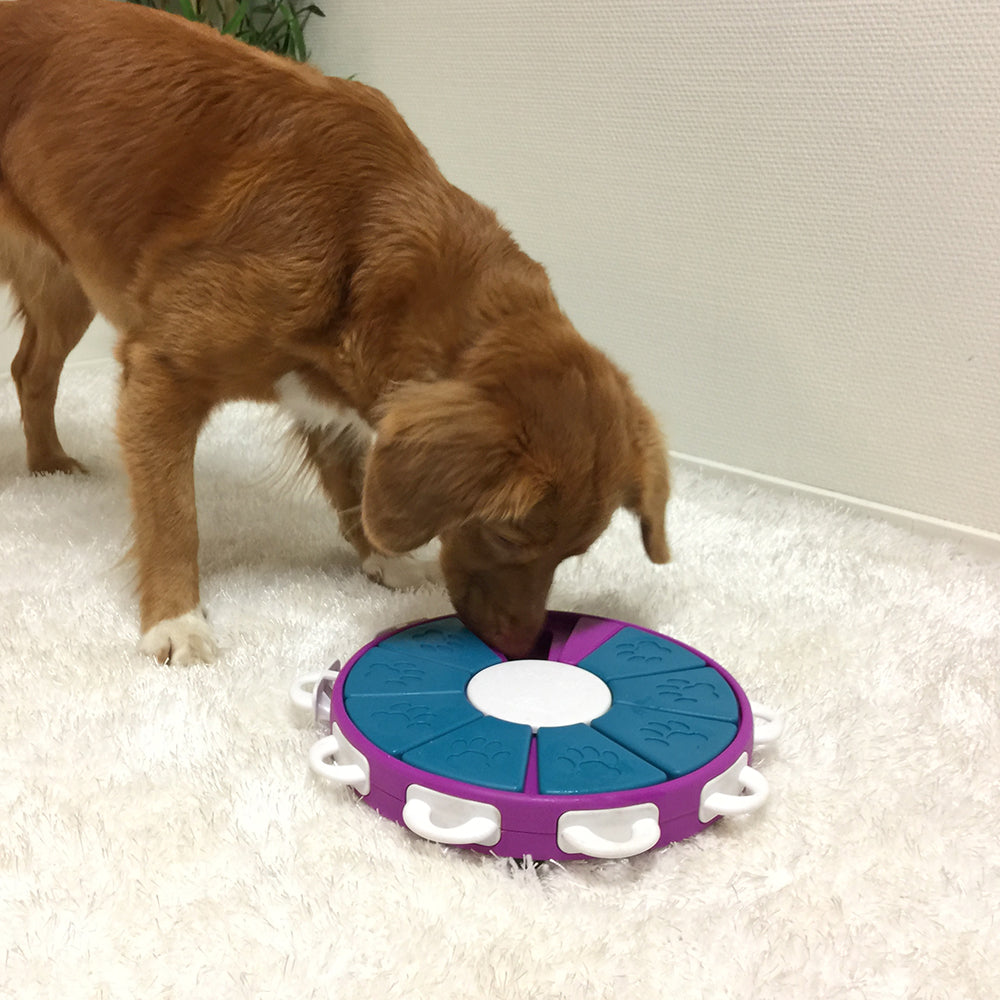 Outward Hound Nina Ottosson Dog Twister Puzzle (Level 3)