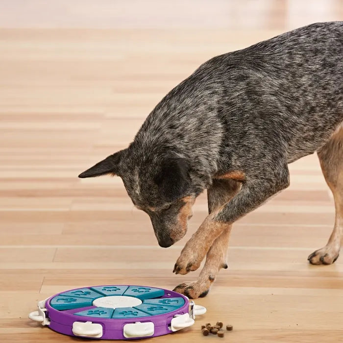 Outward Hound Nina Ottosson Dog Twister Puzzle (Level 3)