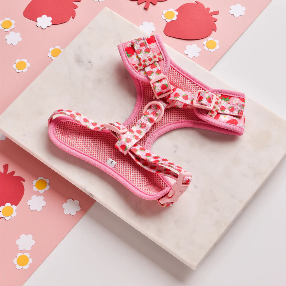 Cocopup London Adjustable Neck Harness Pupberry Fields