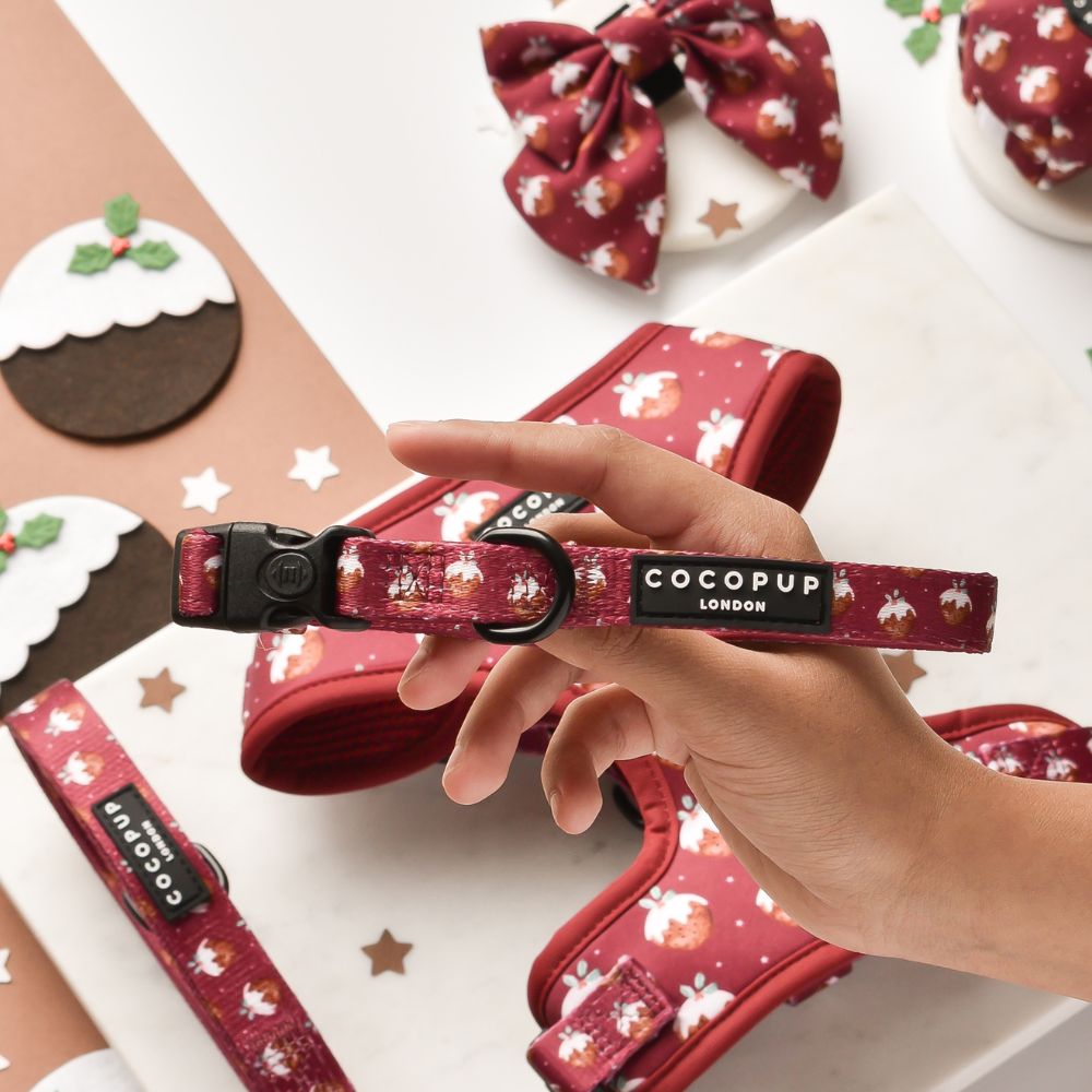 Cocopup London Woofmas Pudding Dog Collar — Tidbit