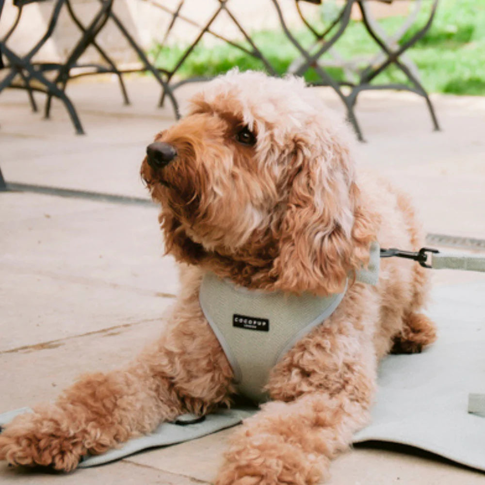 Cocopup London Adjustable Neck Harness Sage Tweed