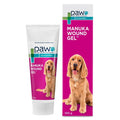 Blackmores PAW Manuka Wound Gel — Tidbit