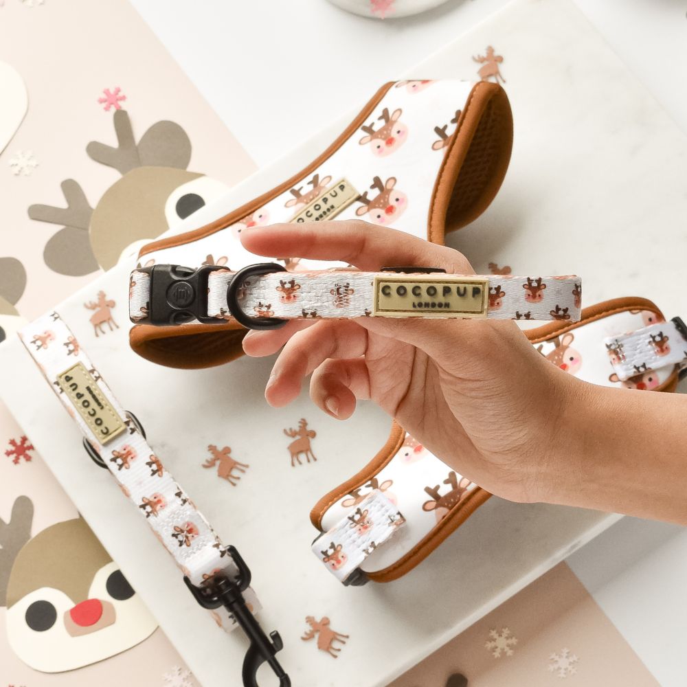 Cocopup London Ralphie Reindeer Dog Collar — Tidbit