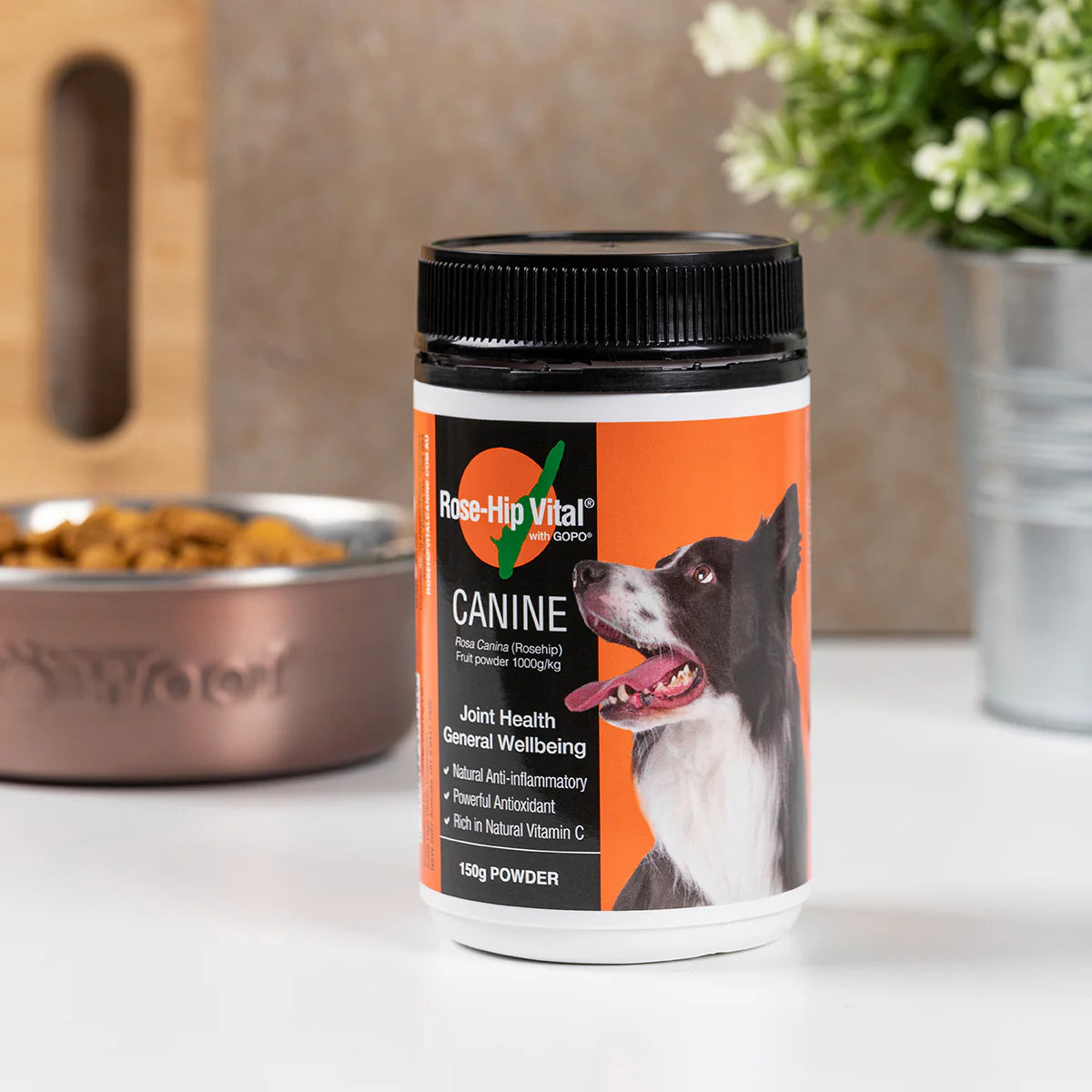 Rose-Hip Vital Canine