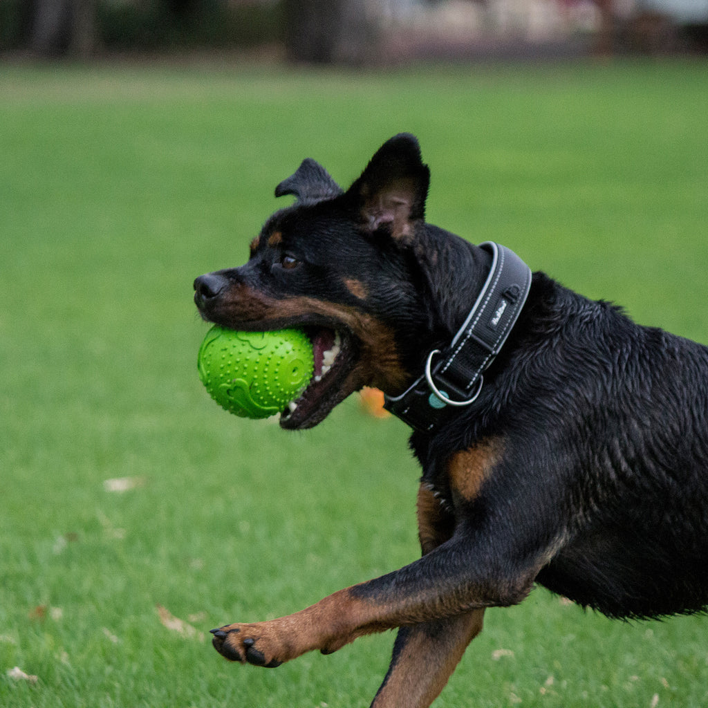 RUFF Play Rubber Squeaker Ball