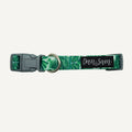 Dan & Sam Lahana Dog Collar — Tidbit