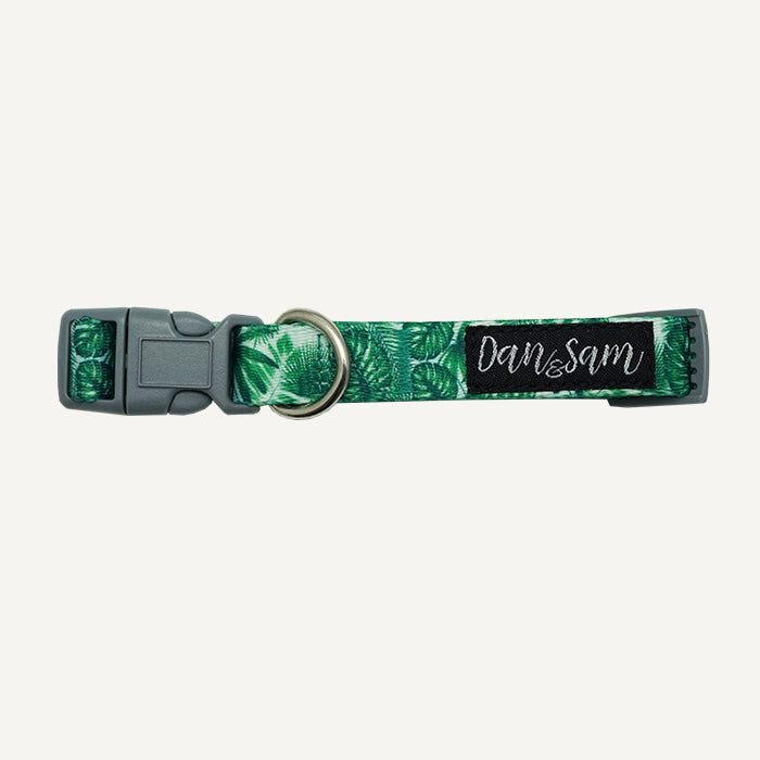 Dan & Sam Lahana Dog Collar — Tidbit