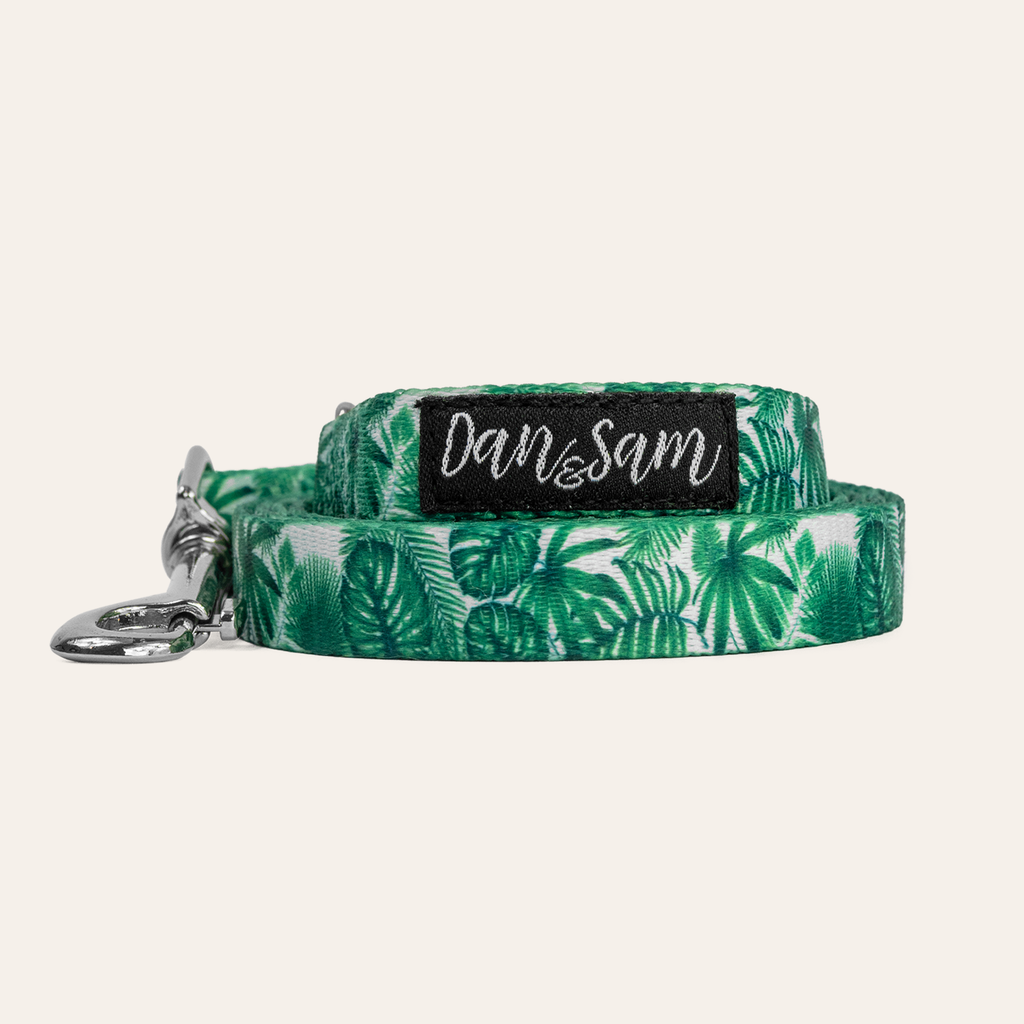 Dan & Sam Lahana Dog Lead