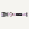 Dan & Sam Dreamer Dog Collar — Tidbit