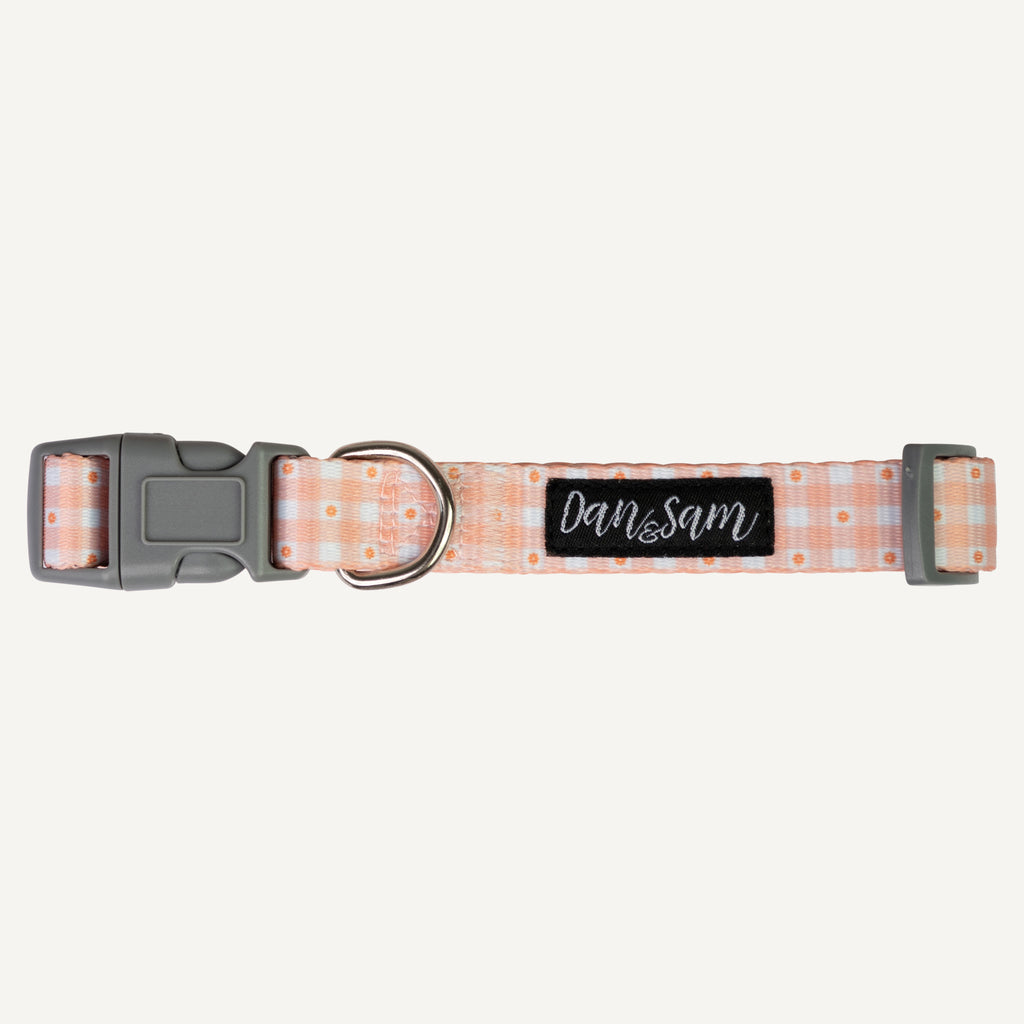 Dan & Sam Daisy Picnic Dog Collar — Tidbit