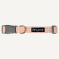 Dan & Sam Daisy Picnic Dog Collar — Tidbit