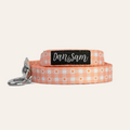 Dan & Sam Daisy Picnic Dog Lead — Tidbit