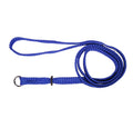 Beau Pets Single Nylon Choker Lead Blue — Tidbit