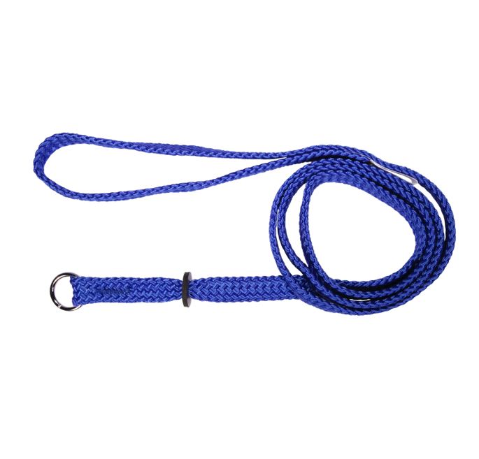 Beau Pets Single Nylon Choker Lead Blue — Tidbit