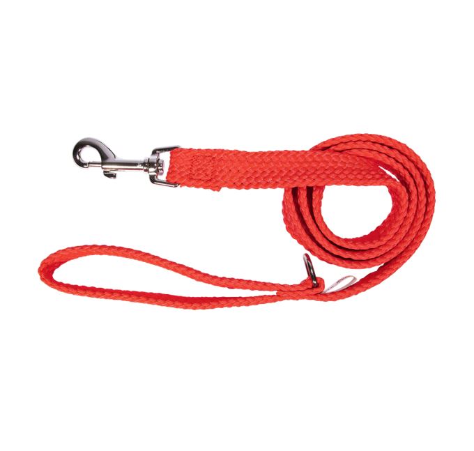 Beau Pets Double Nylon Lead Red — Tidbit
