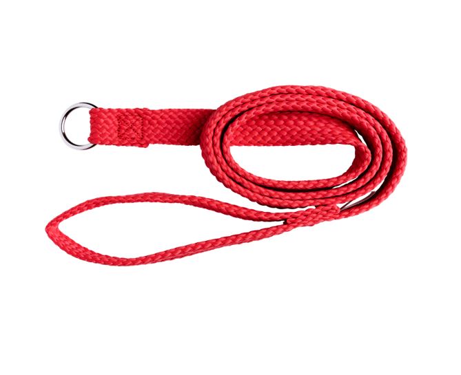 Beau Pets Double Nylon Choker Lead Red — Tidbit