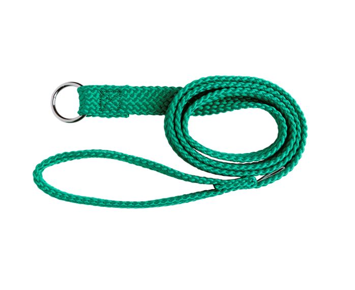 Beau Pets Double Nylon Choker Lead Green — Tidbit