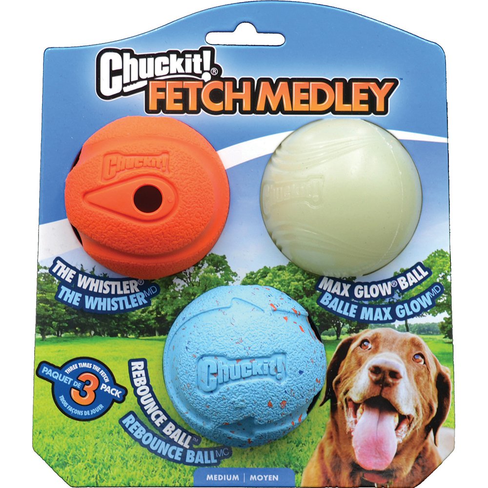 Chuckit! Fetch Medley — Tidbit