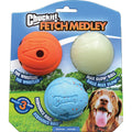 Chuckit! Fetch Medley — Tidbit