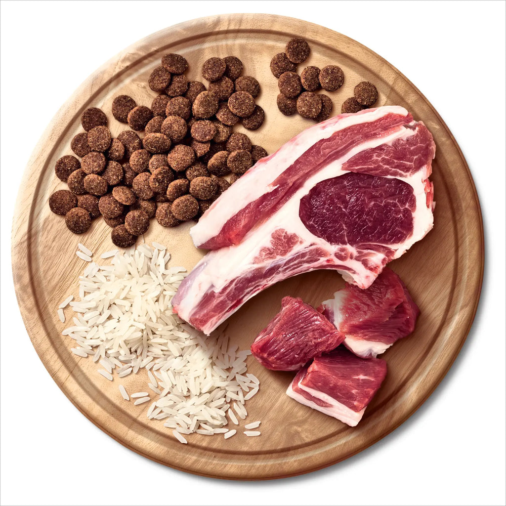Advance Adult All Breeds Lamb with Rice Dry Dog Food 20kg