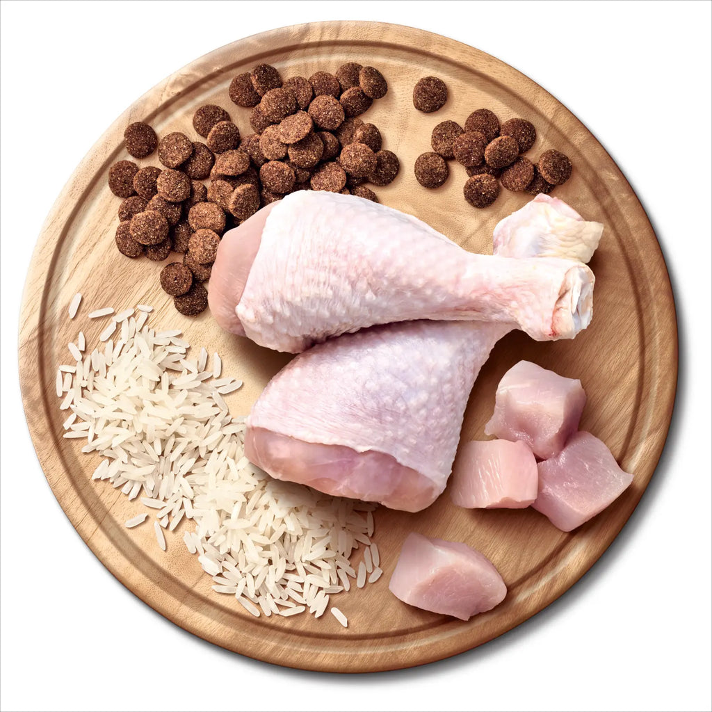 Advance Adult All Breeds Chicken with Rice Dry Dog Food 20kg
