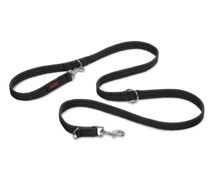 Company of Animals – Halti – Training Lead