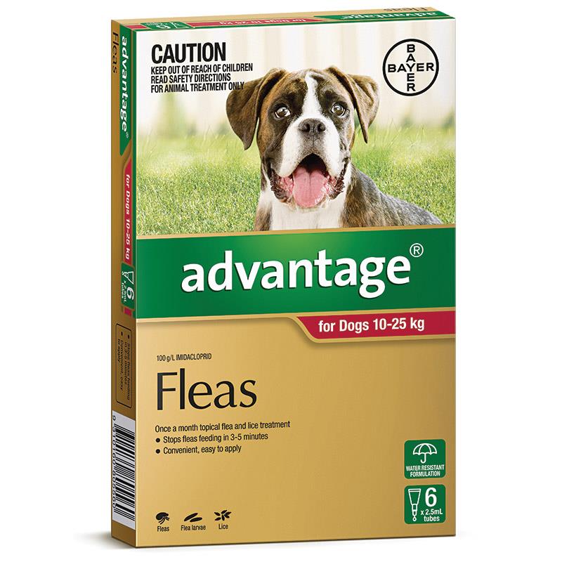 Advantage Flea Treatment for Dogs 10kg to 25kg — Tidbit
