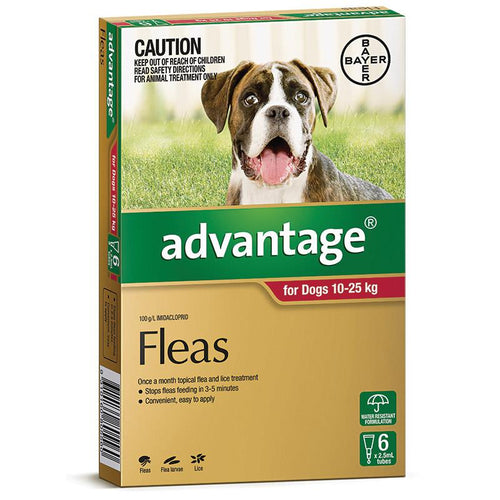 Advantage Flea Treatment for Dogs 10kg to 25kg — Tidbit