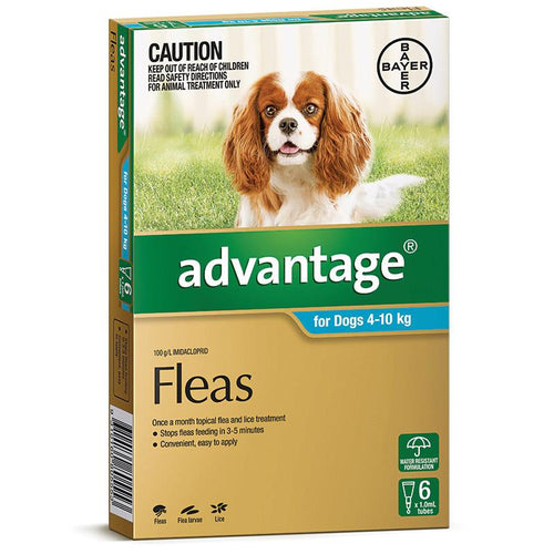 Advantage Flea Treatment for Dogs 4kg to 10kg — Tidbit