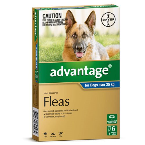 Advantage Flea Treatment for Dogs Over 25kg — Tidbit