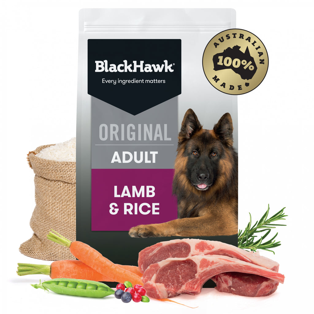 Black Hawk Original Adult Lamb & Rice Dry Dog Food — Tidbit