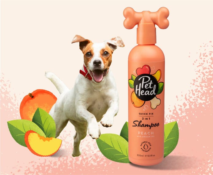Pet Head Quick Fix
