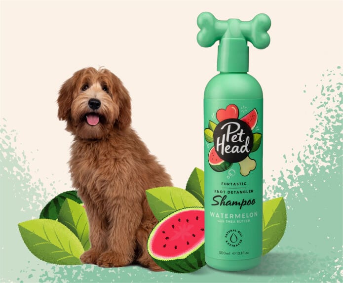Pet Head Furtastic Knot Detangler