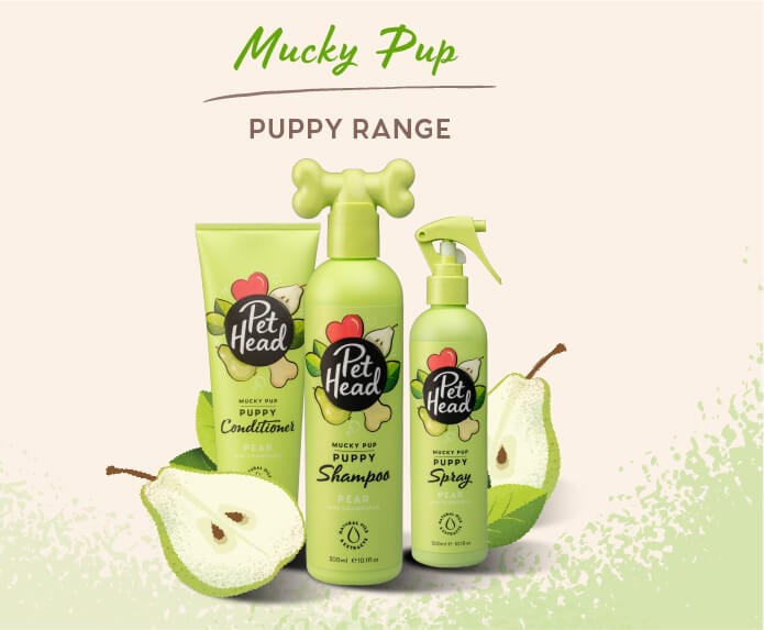 Pet Head Mucky Pup — Tidbit