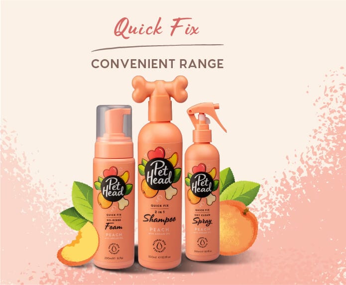 Pet Head Quick Fix — Tidbit