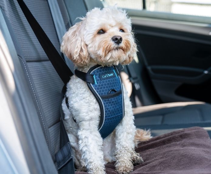 CarSafe Crash Tested Harness Blue