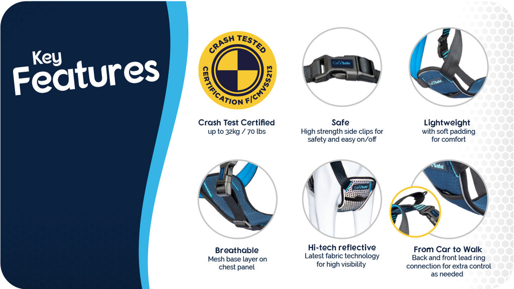 CarSafe Crash Tested Harness Blue