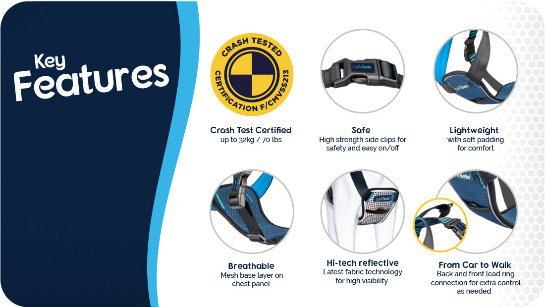 CarSafe Crash Tested Harness Blue