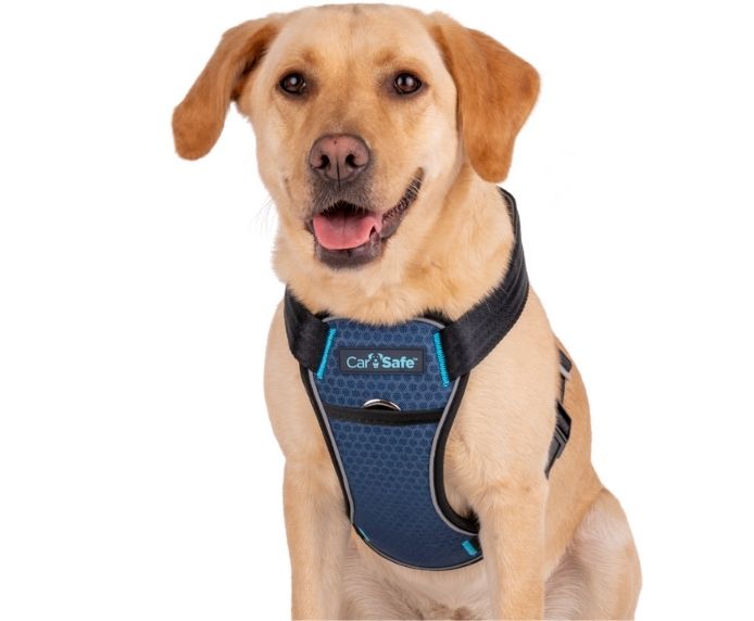 CarSafe Crash Tested Harness Blue