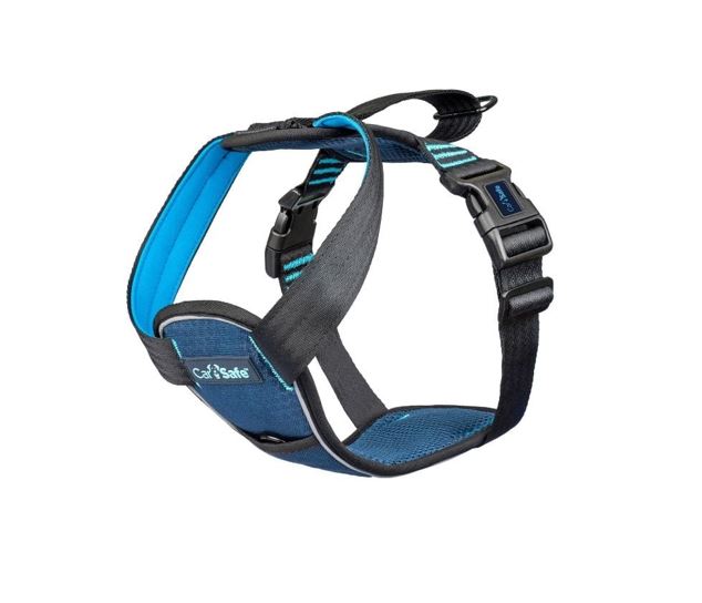 CarSafe Crash Tested Harness Blue — Tidbit