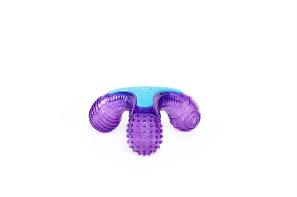 GiGwi Multi-Sounds Bone