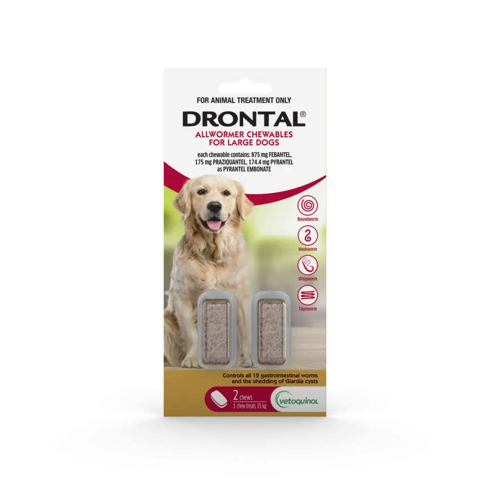 Drontal Allwormer Chewable — Tidbit