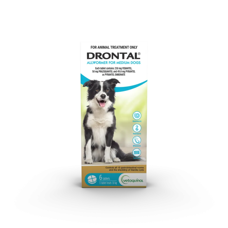 Drontal Allwormer for Dogs — Tidbit