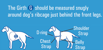 Beau Pets Gentle Leader Harness in Blue
