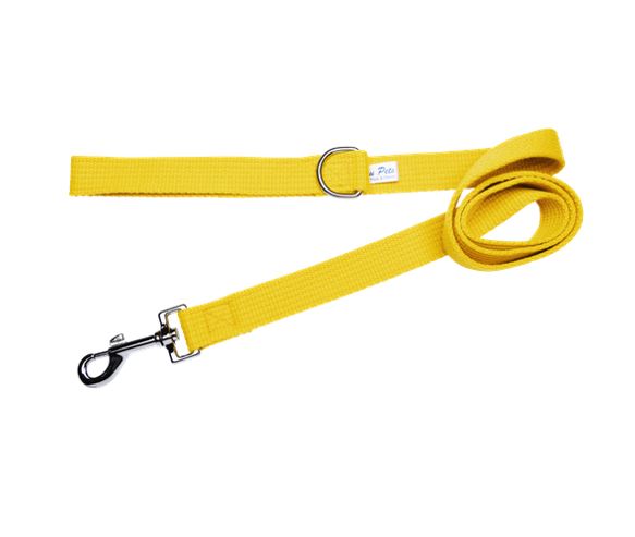 Beau Pets Gold Webbing Lead — Tidbit