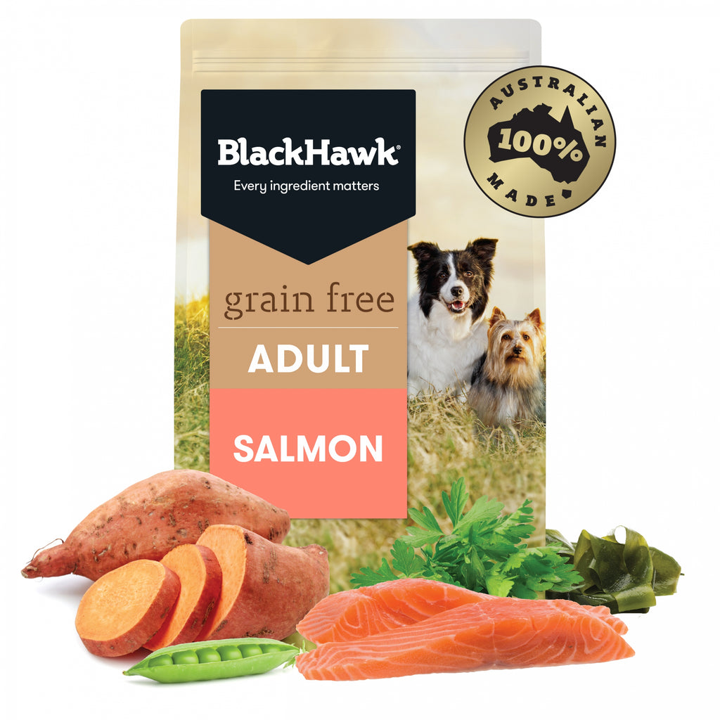 Black Hawk Grain Free Adult Salmon Dry Dog Food — Tidbit