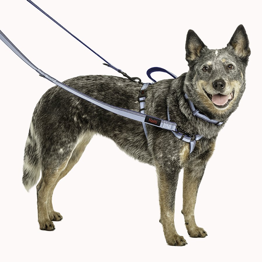 Company of Animals – Halti – Double Ended Lead – Purple